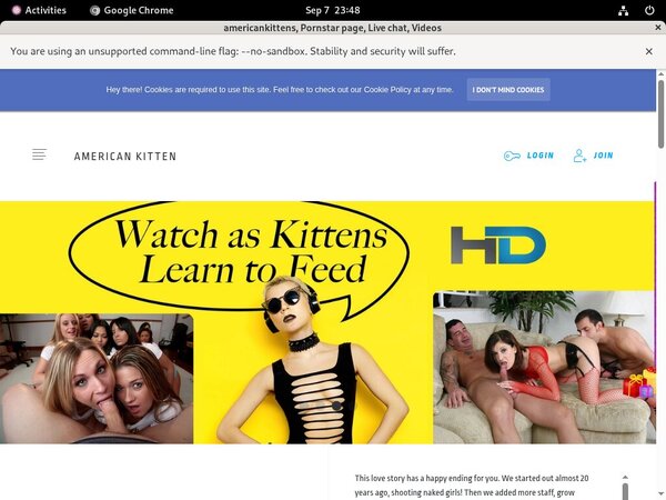 Americankitten.com Passwords Forum