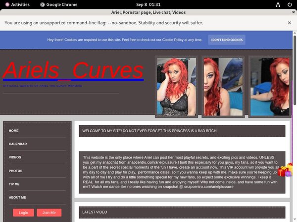 Ariel Pictures