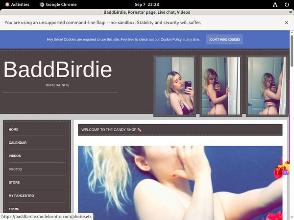 BaddBirdie Discount Password