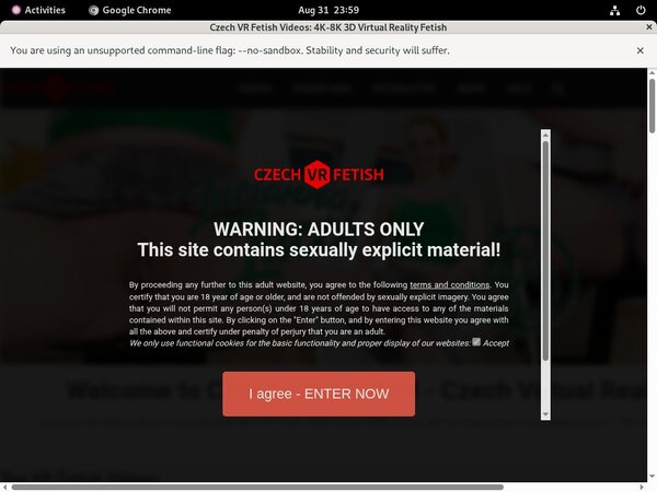 Czechvrfetish.com Subscription