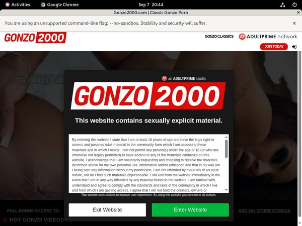 Fotos Gonzo 2000