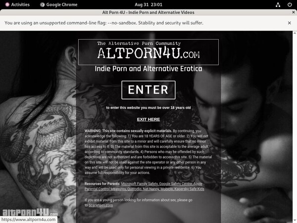 Free Alt Porn 4 U Premium Accounts