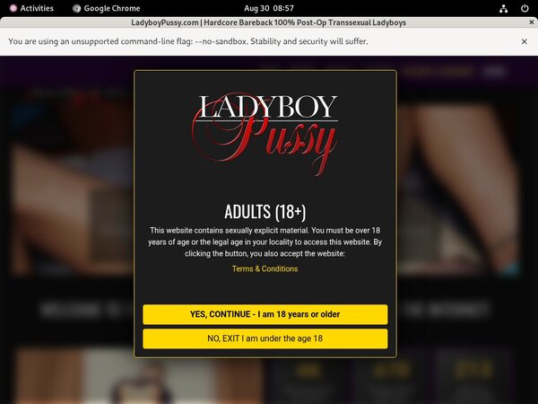 Ladyboy Pussy Discount Codes