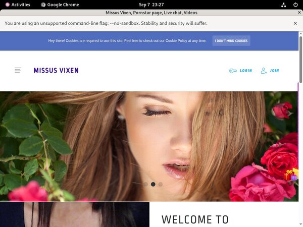 Missus69.modelcentro.com Passwords For Free