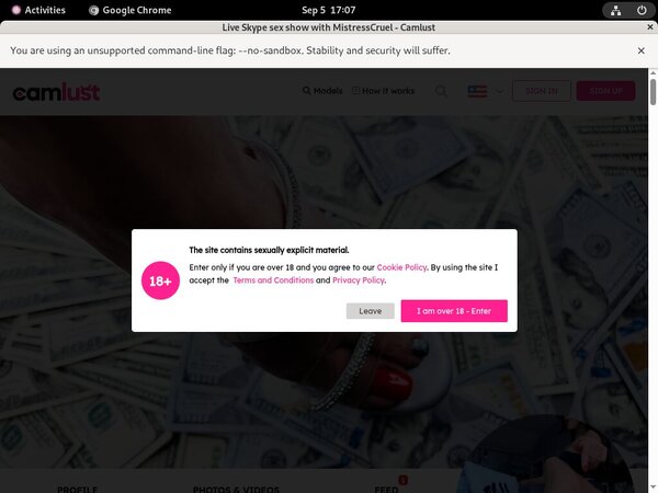 Mistress Cruel Discount Code