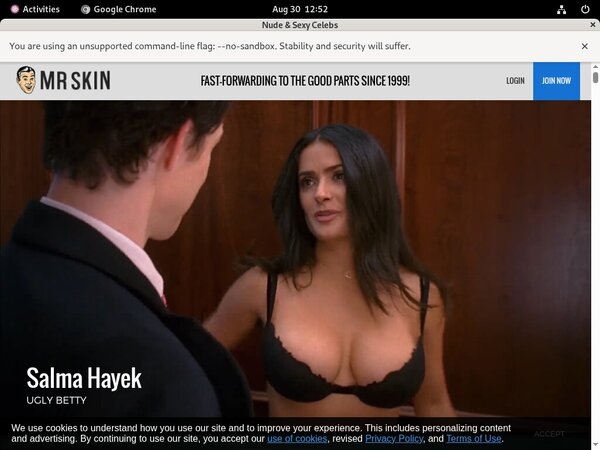 Mrskin Premium Password