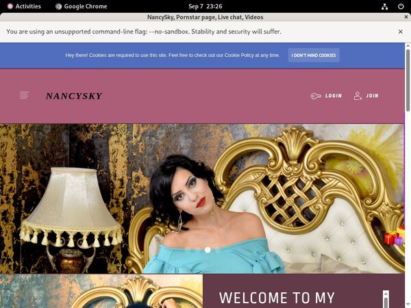 NancySky Discount Password