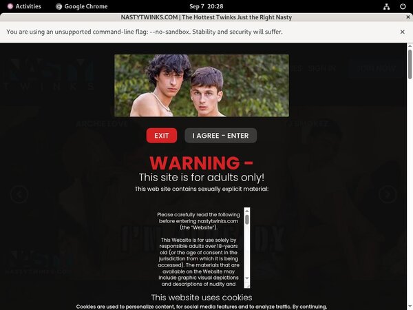 Nasty Twinks Hd Nasty Twinks Hd