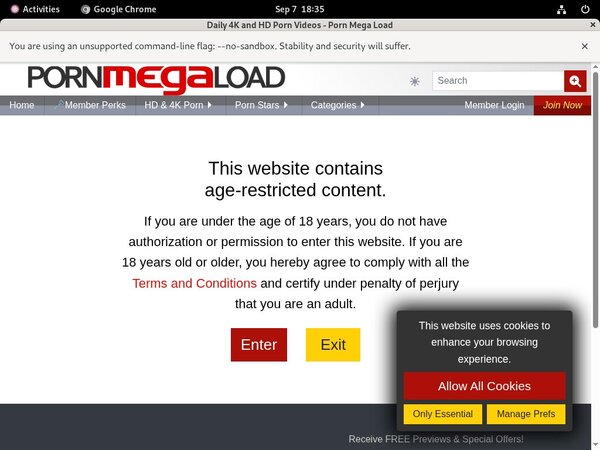 Porn Mega Load Logins