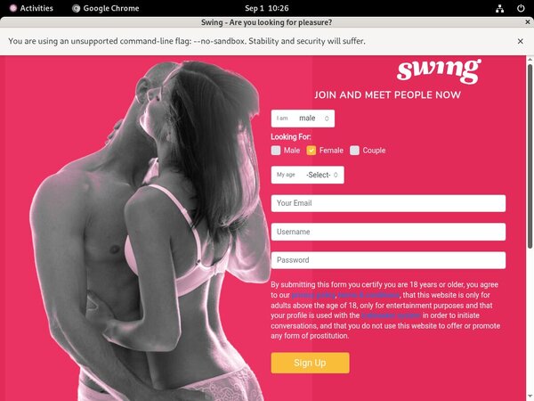 Porn Swing.net