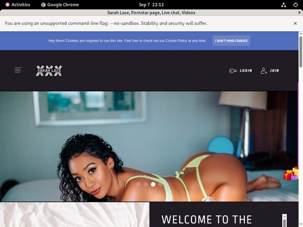 Sarah Lace Login Details Sarah Lace Login Details