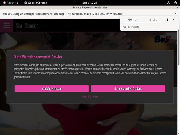 Sari Sander Site Rip Download Sari Sander Site Rip Download