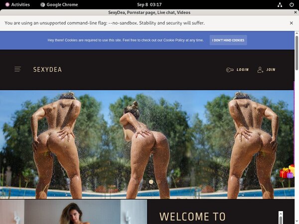 SexyDea Checkout Page