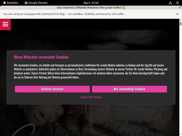 SinaValentini Downloads SinaValentini Downloads