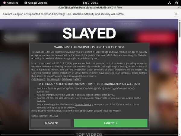 Slayed Checkout Slayed Checkout